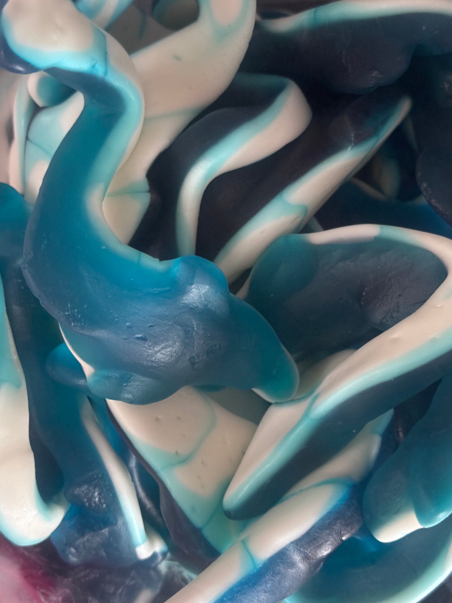 Giant dolphins 100g