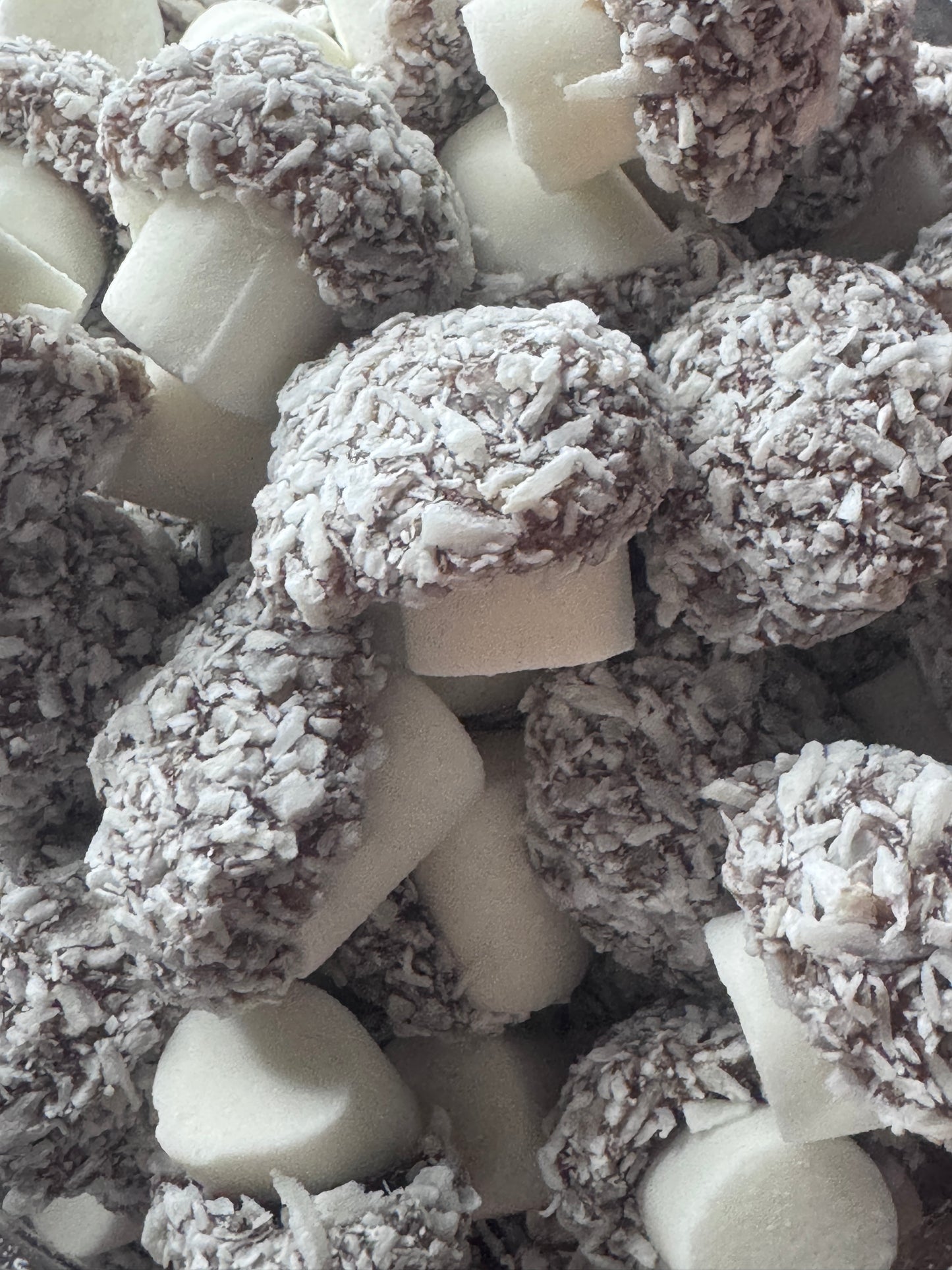 Coconut mushrooms 100g