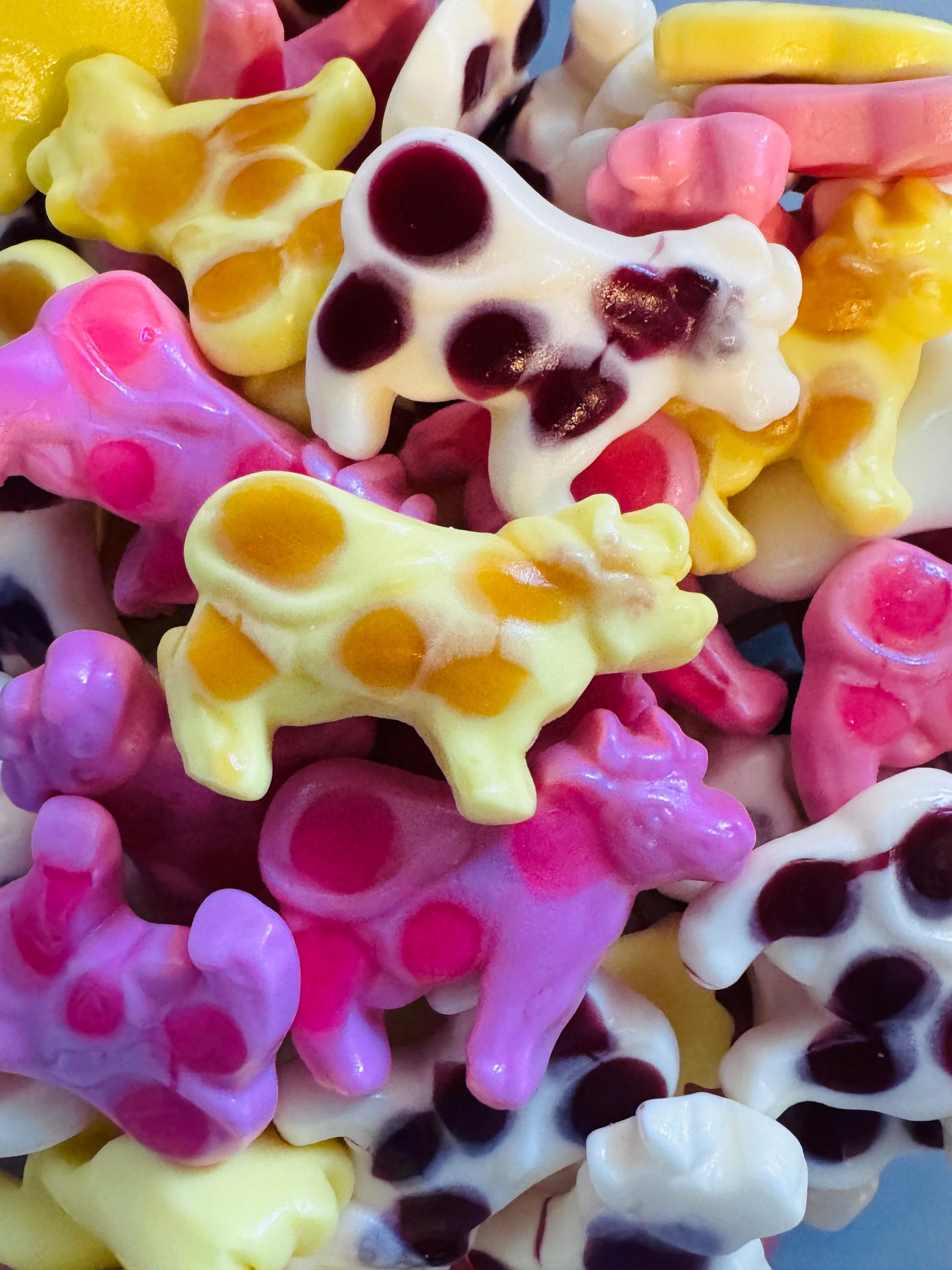 Trolli Milky Cow
