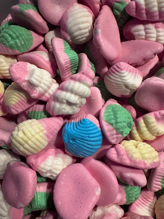 Shells 100g