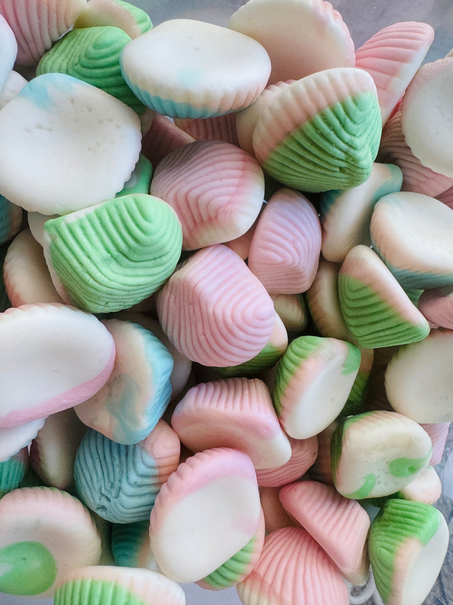 Vidal Jelly Filled Seashells 100g